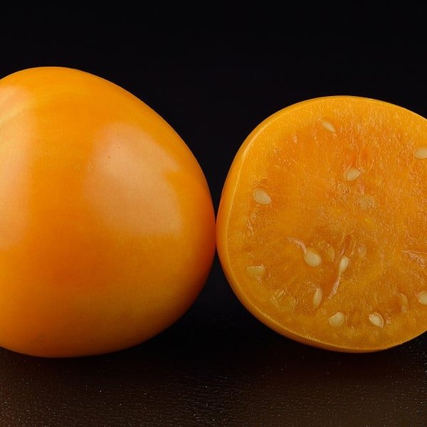 Physalis Golden Berry